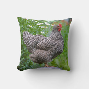 Chicken Pillow
