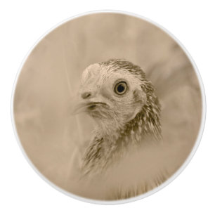 Chicken Portrait Ceramic Knob