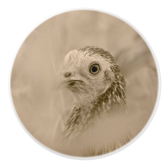 Chicken Portrait Ceramic Knob (Front)