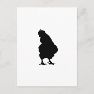 Chicken Postcard