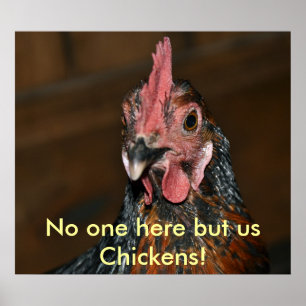 Chicken - Poster