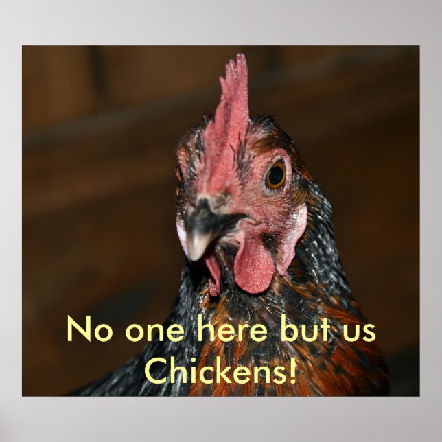 Chicken - Poster (Front)