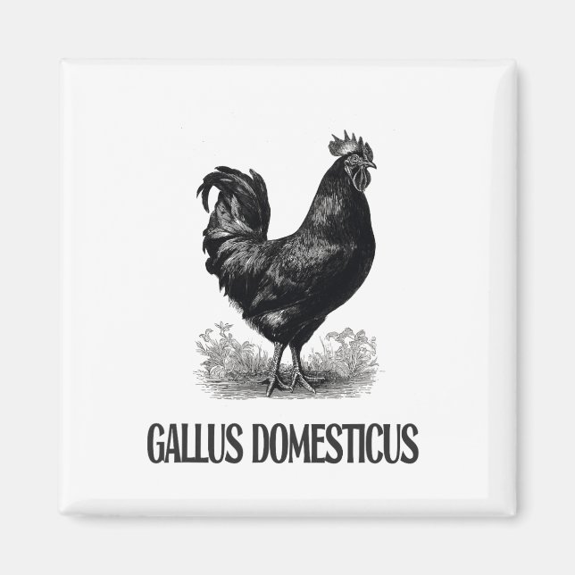 Chicken Poultry Design _4  Magnet (Front)