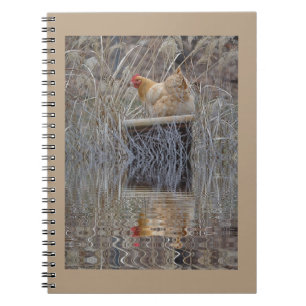 Chicken Reflections Notebook