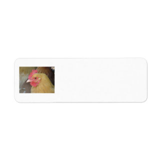Chicken Return Labels
