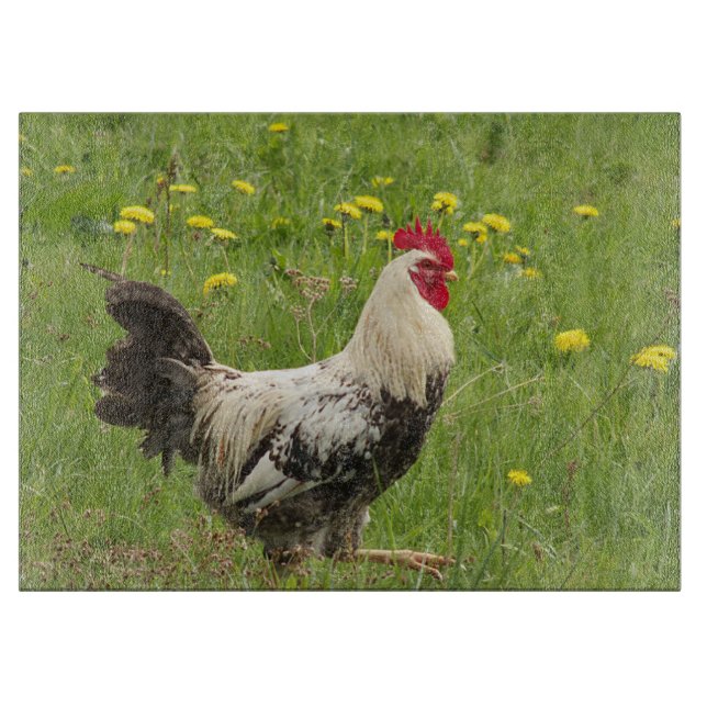 chicken, rooster, animal, bird, farm, agriculture, cutting board (Front)