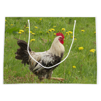 chicken, rooster, animal, bird, farm, agriculture, large gift bag