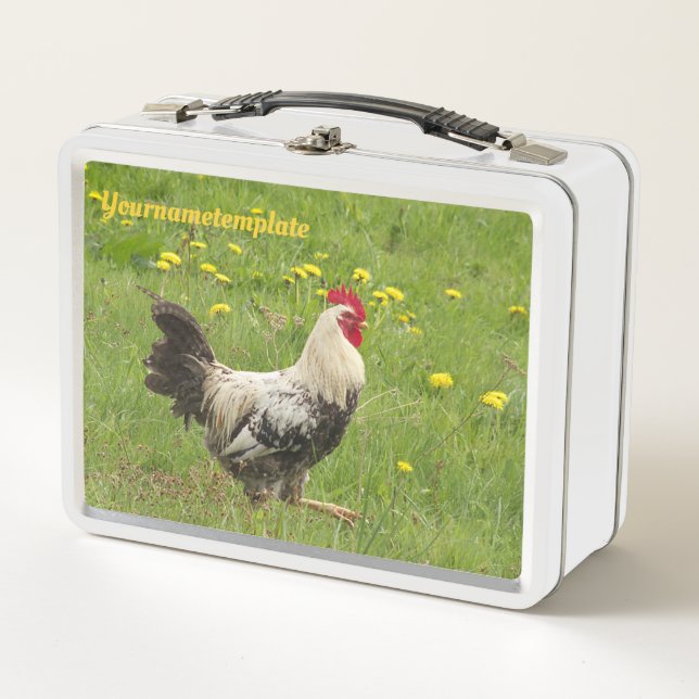 chicken, rooster, animal, bird, farm, agriculture, metal lunch box (Front)