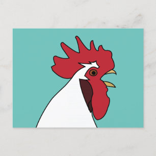 Chicken Rooster  Postcard