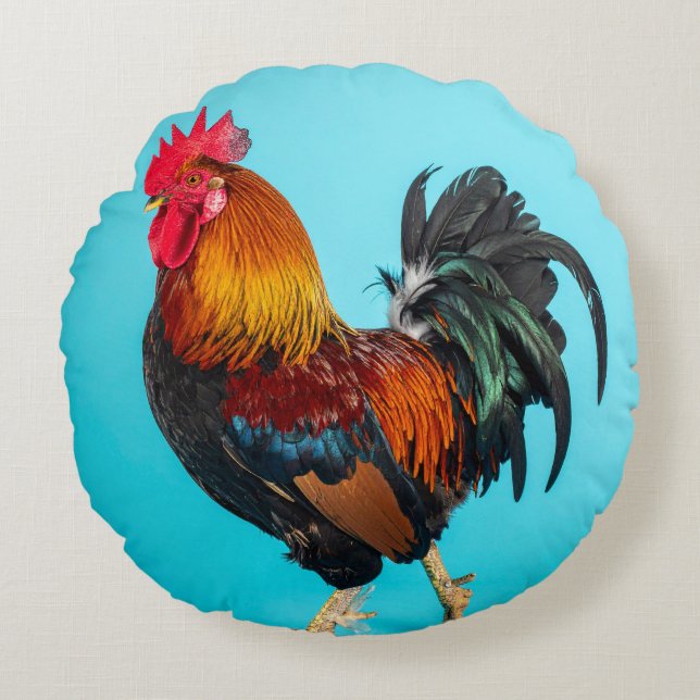chicken round cushion (Front)