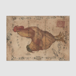 Chicken Scratch Tissue Paper