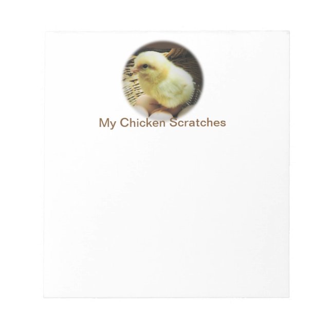 Chicken Scratches with Photograph of Baby Chicken Notepad (Front)