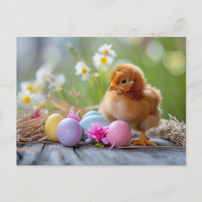 Chicken stands beside an Easter nest with eggs Postcard (Front)