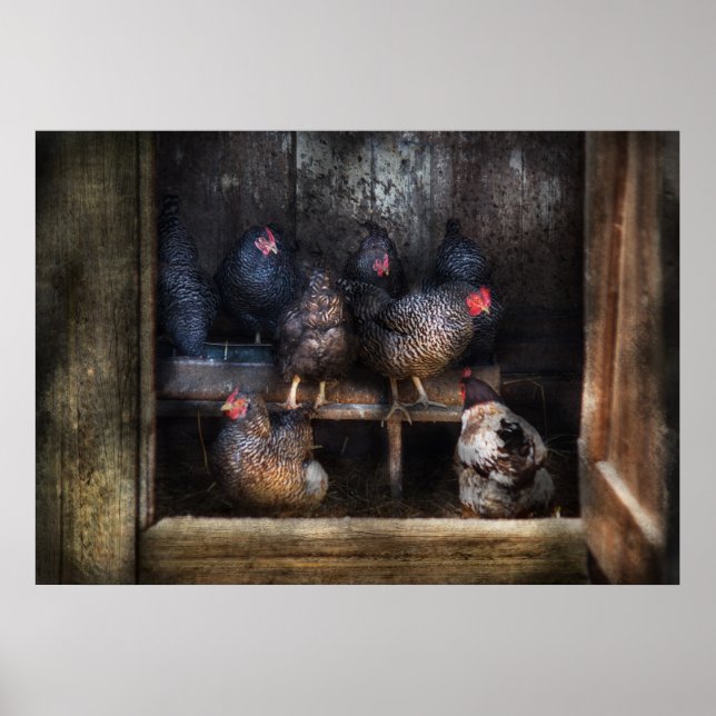 Chicken - The Hen House Poster (Front)