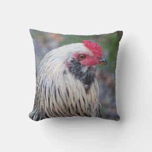Chicken Up Close and Personal! Cushion