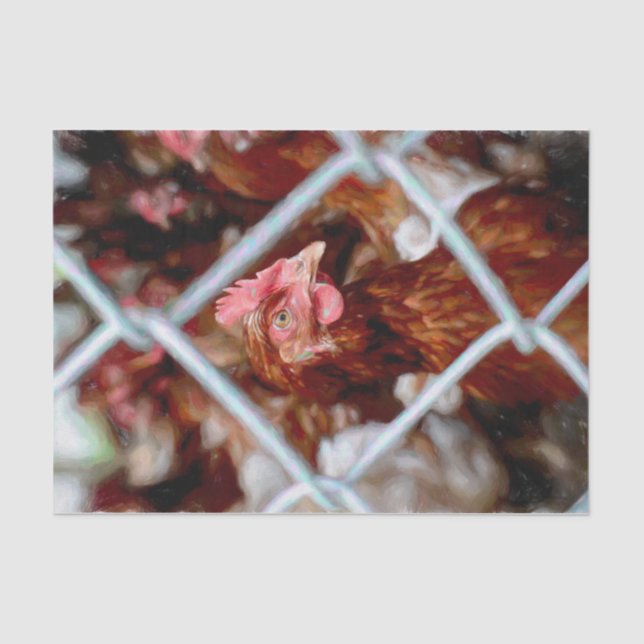 Chicken Vintage Style Country Farm Hen Tissue Paper (Front)