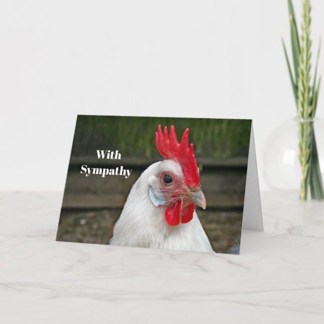 Chicken White Head Rooster Photo Sympathy Card (Front)
