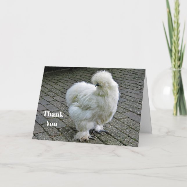 Chicken White Silkie Photo Thank You Card (Front)