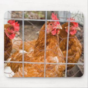 Chicken Wire Mouse Pad