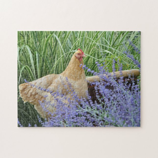 Chicken With Russian Sage Jigsaw Puzzle (Horizontal)