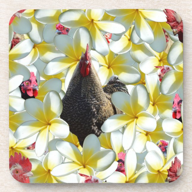 Chickens And Frangipani Flowers, Coaster (Front)