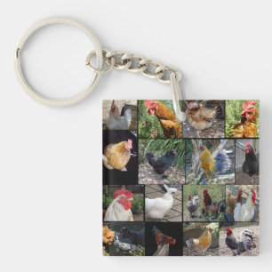 Chickens And Roosters Photo Collage, Key Ring