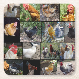 Chickens And Roosters Photo Collage, Square Paper Coaster