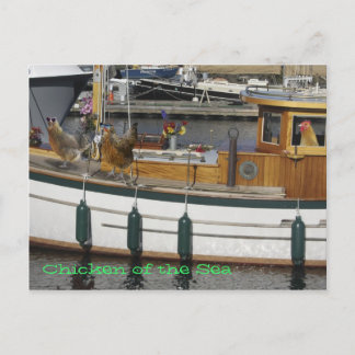 Chickens at Sea - Humour Postcard