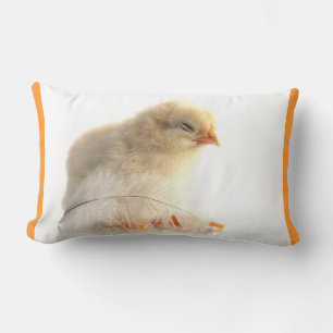 chickens chicks with feather lumbar cushion