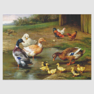 Chickens, Ducks And Ducklings At The Farm Tissue Paper