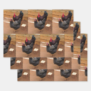 Chickens - Farm Life -  Wrapping Paper Sheets