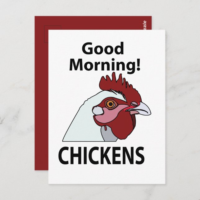Chickens Good Morning Funny Chicken  Postcard (Front/Back)