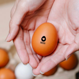 Chickens, Hen Eggs | Fresh Eggs | Egg Mini Stamp