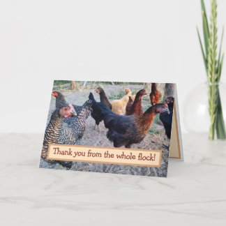 Chickens Humour Funny Barnyard Thank You Card