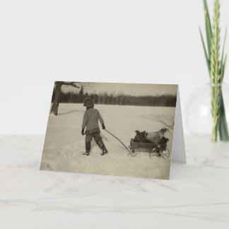 Chickens In Snow Holiday Card