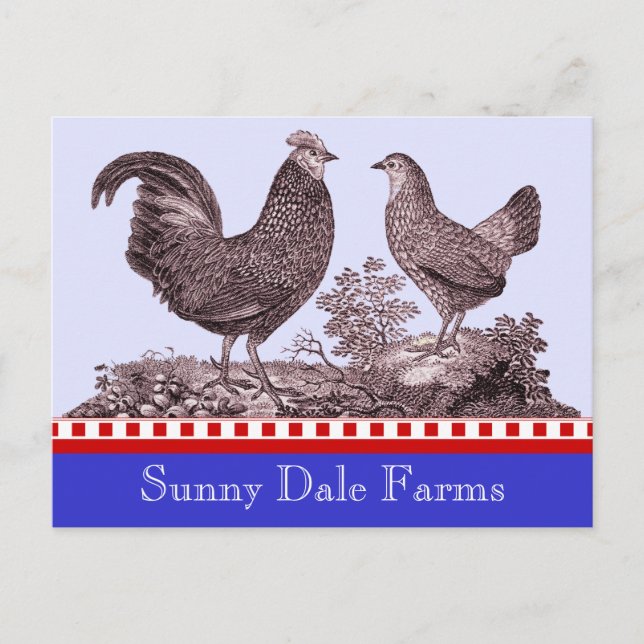 Chickens Invitation for Picnic, Farmer's Market, B (Front)