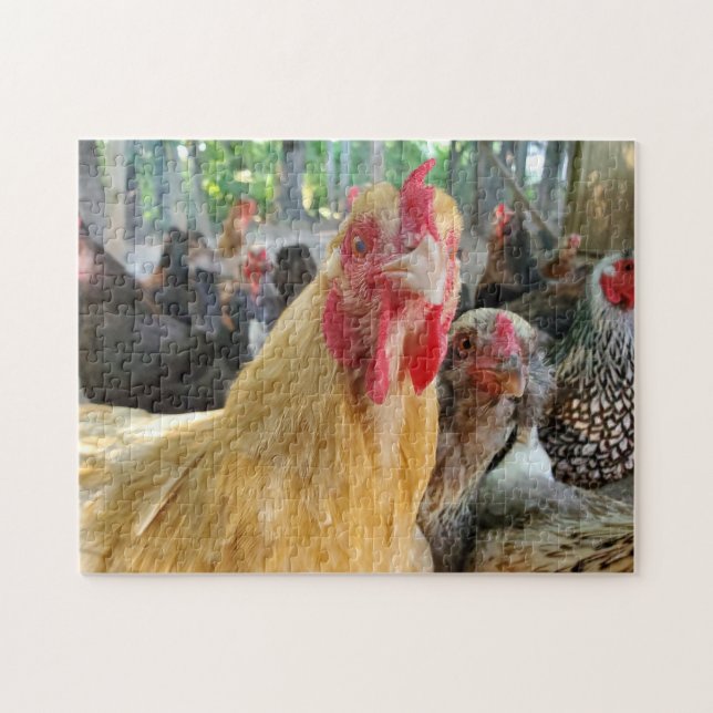 Chickens Jigsaw Puzzle (Horizontal)