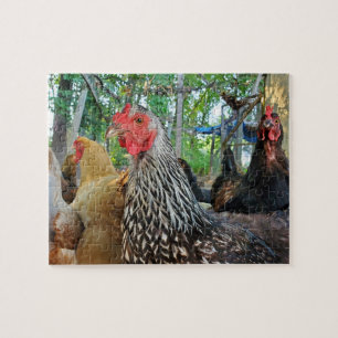 Chickens Jigsaw Puzzle