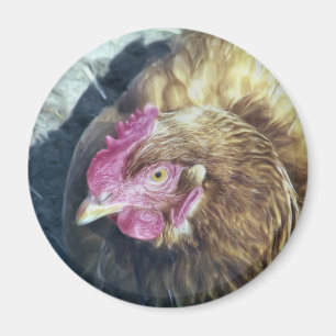 CHICKENS MAGNET