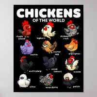 Chickens Of The World Funny Cartoon Chicken Breeds