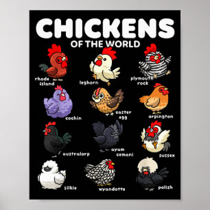 Chickens Of The World Funny Cartoon Chicken Breeds Poster