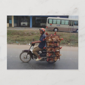 Chickens on Motorbike-Vietnam Postcard
