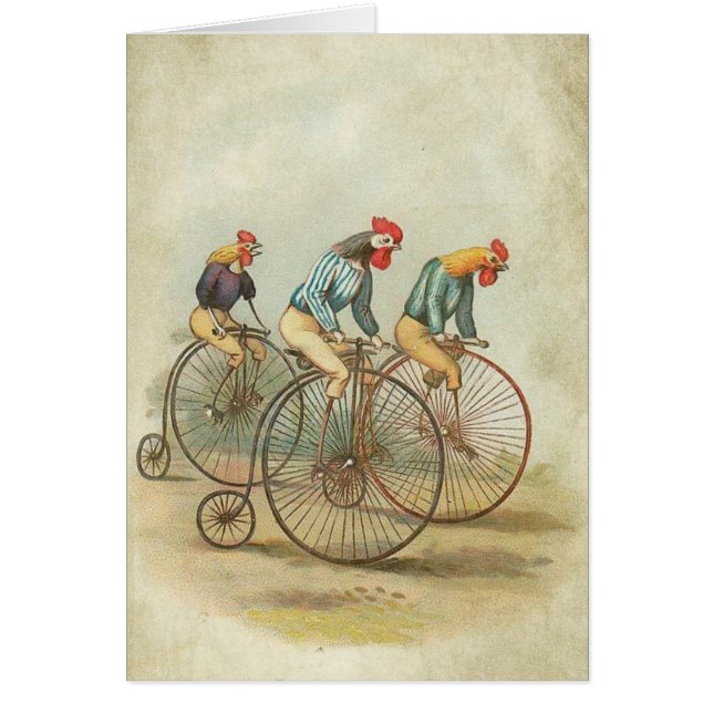 Chickens on Vintage Bikes (Front)