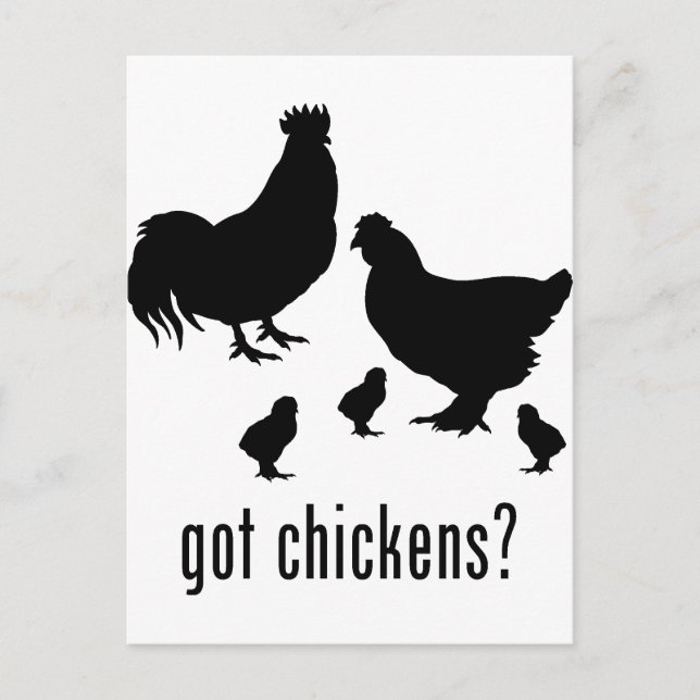 Chickens Postcard (Front)