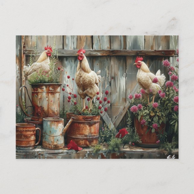 Chickens Rustic Watering Can Tin Bucket Flowers  Postcard (Front)