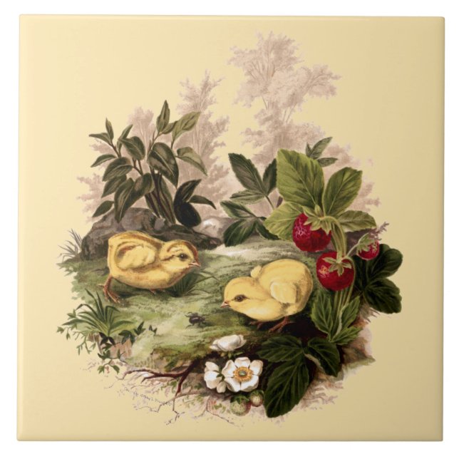 Chickens & Strawberries by L. Prang & Co.  Ceramic Tile (Front)