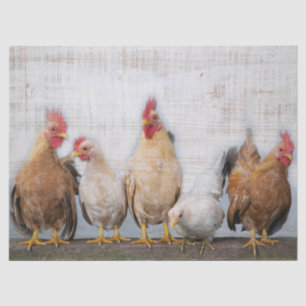 Chickens Tissue Paper