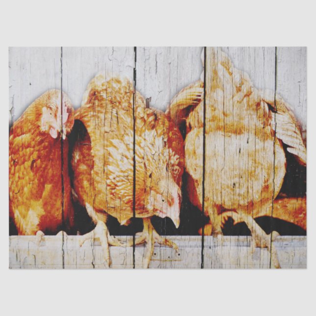 Chickens Tissue Paper (Front)