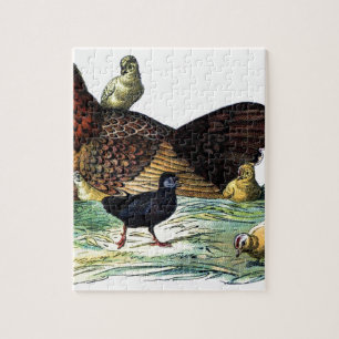 Chickens Vintage Animal Jigsaw Puzzle