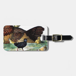 Chickens Vintage Animal Luggage Tag